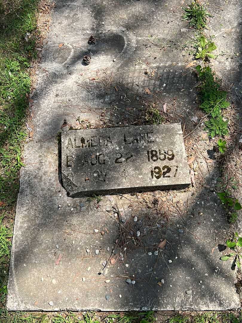 Almeda Lane's grave. Photo 1