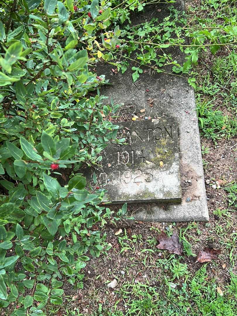 Beatrice Paxton's grave. Photo 1