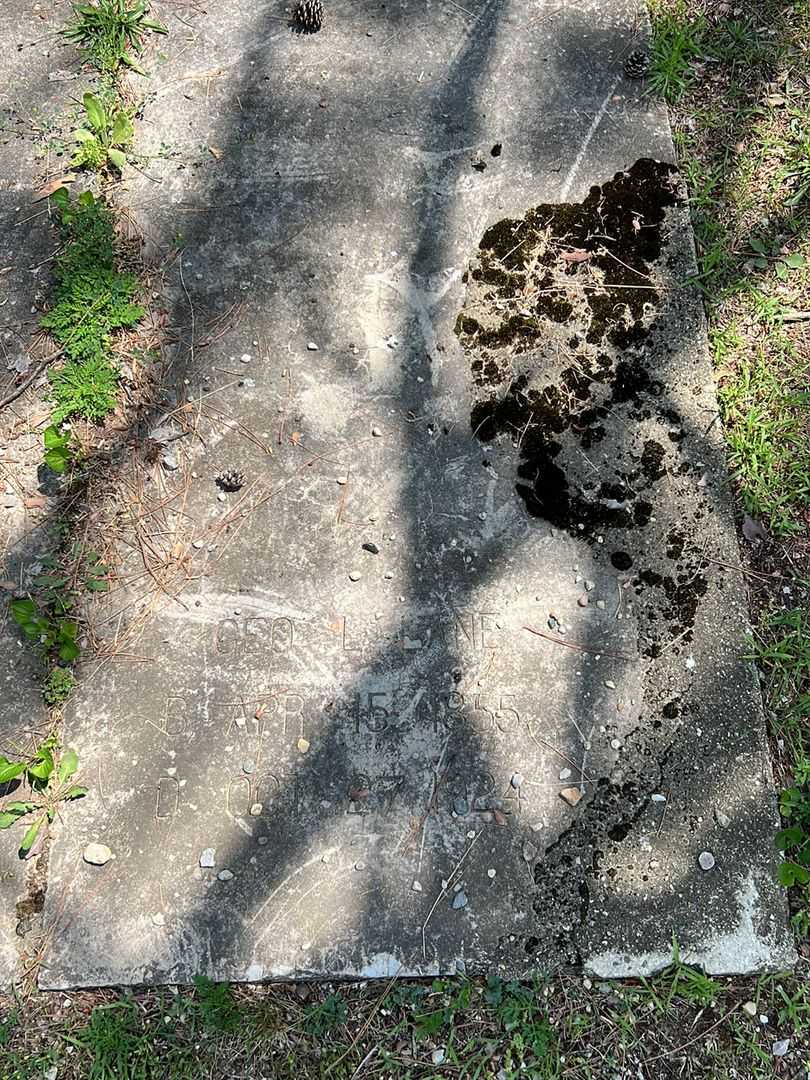 Geo. L. Lane's grave. Photo 1