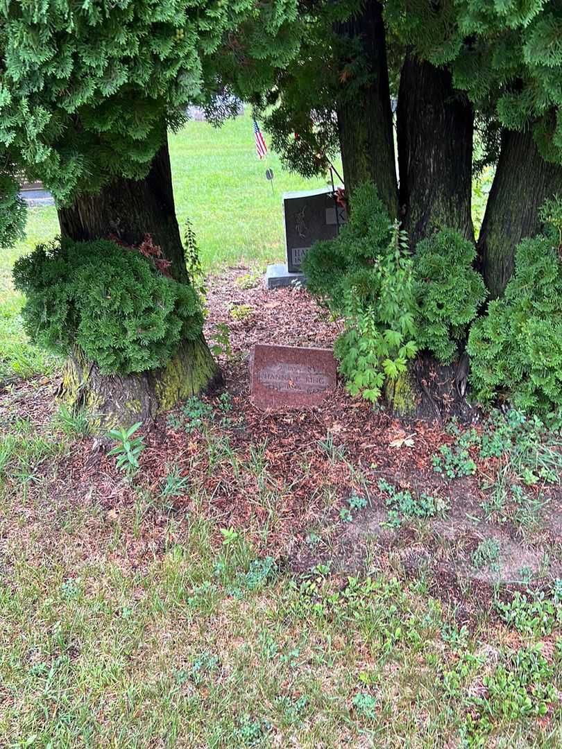 Hanna C. King's grave. Photo 2