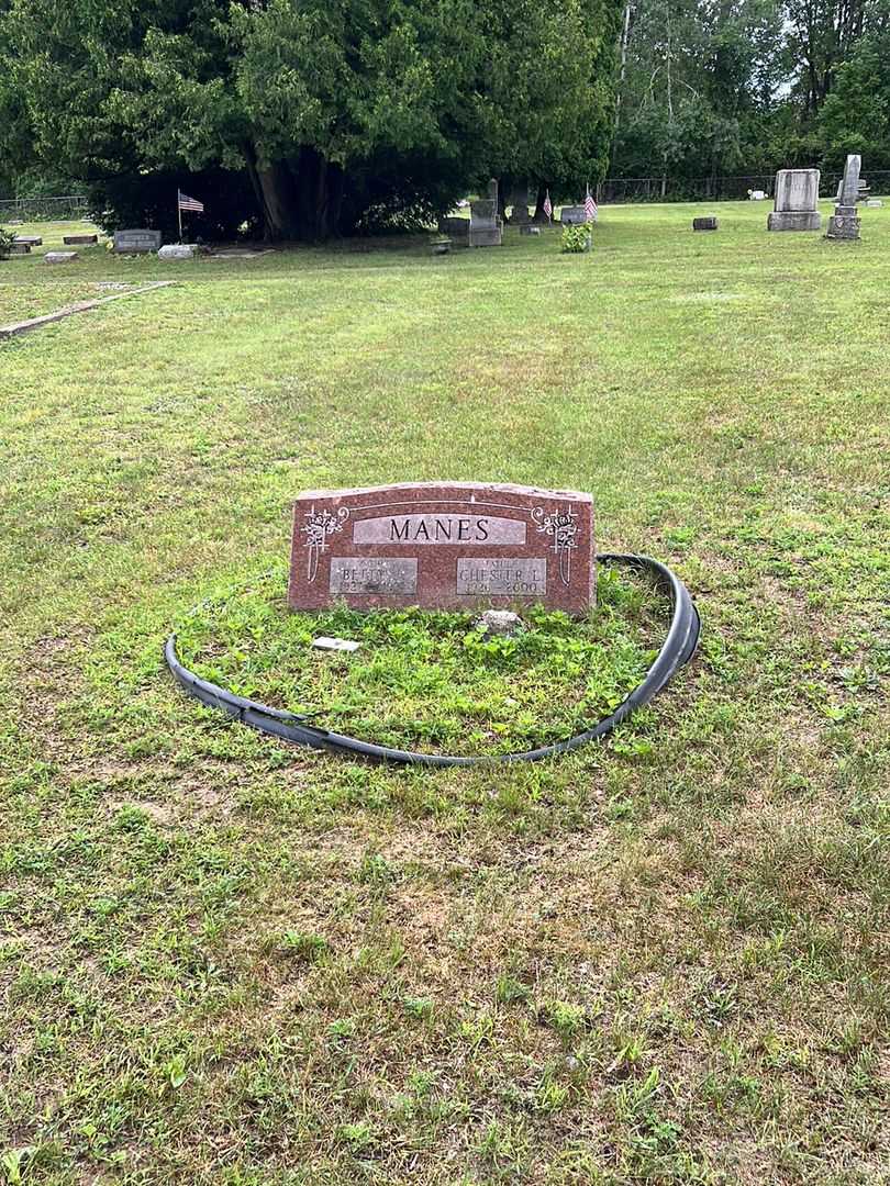 Chester L. Manes's grave. Photo 2