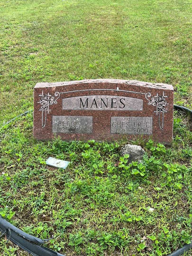 Chester L. Manes's grave. Photo 1