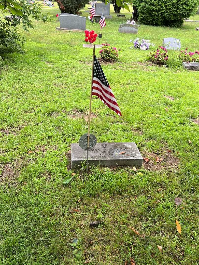 James A. Hamm's grave. Photo 2
