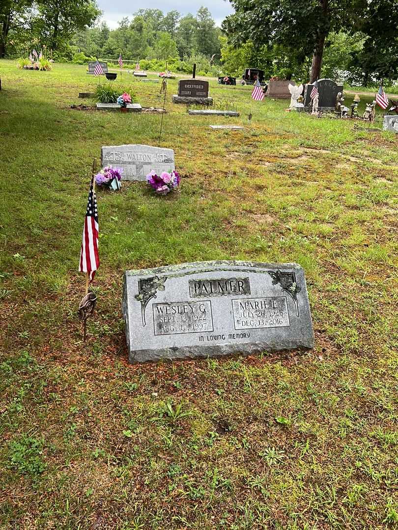 Wesley George Palmer's grave. Photo 2