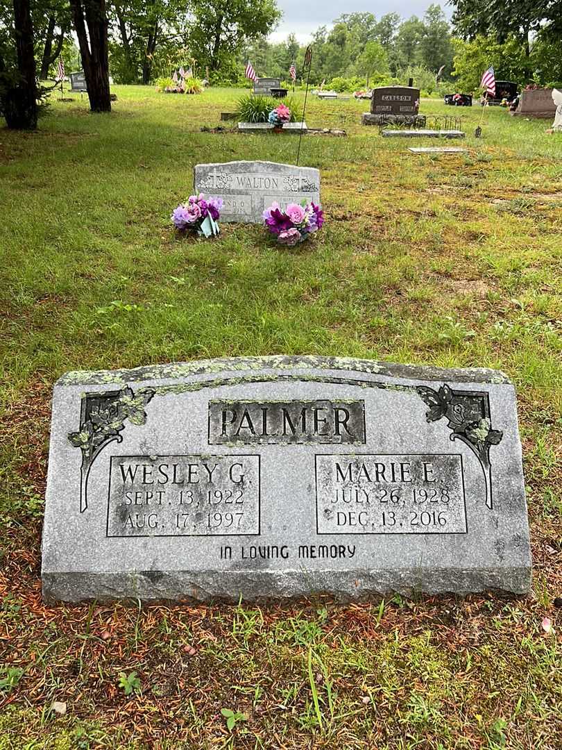 Wesley George Palmer's grave. Photo 1