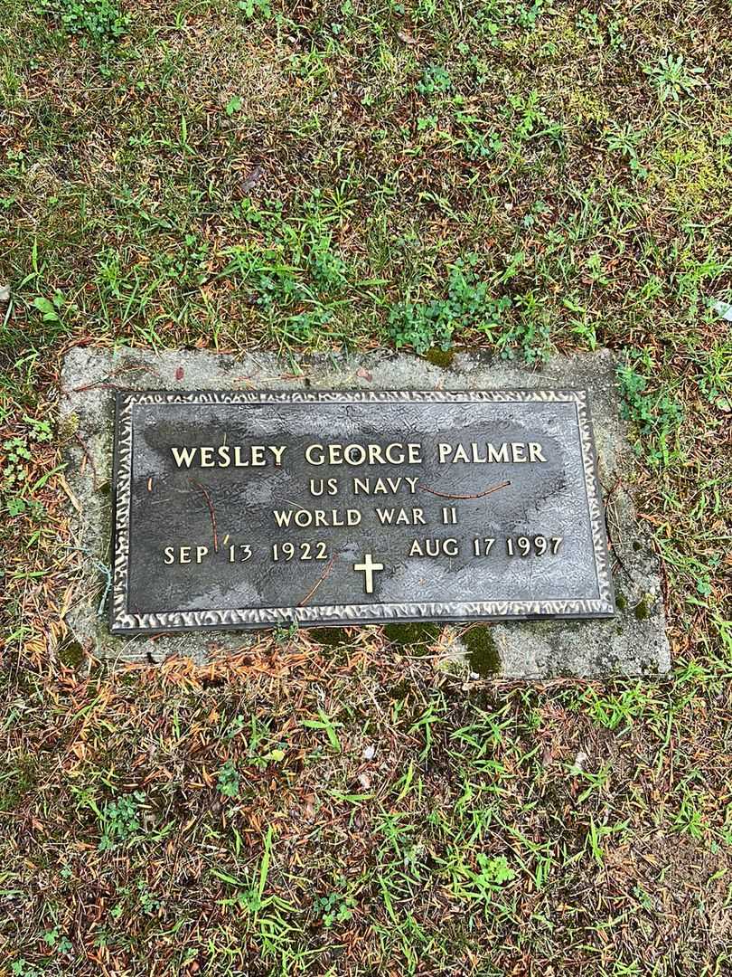 Wesley George Palmer's grave. Photo 3