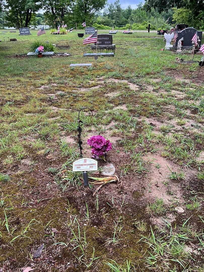 Warren L. Walton's grave. Photo 2