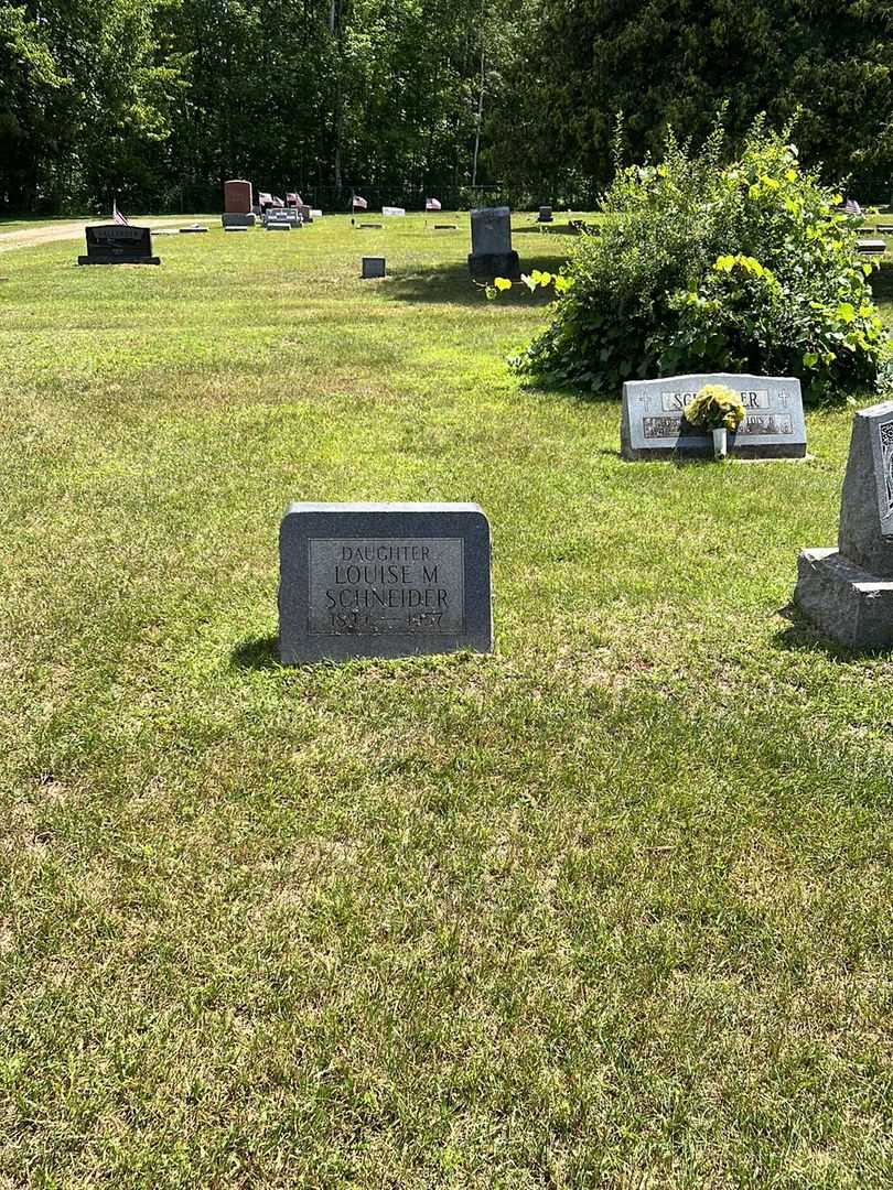Louise M. Schneider's grave. Photo 2