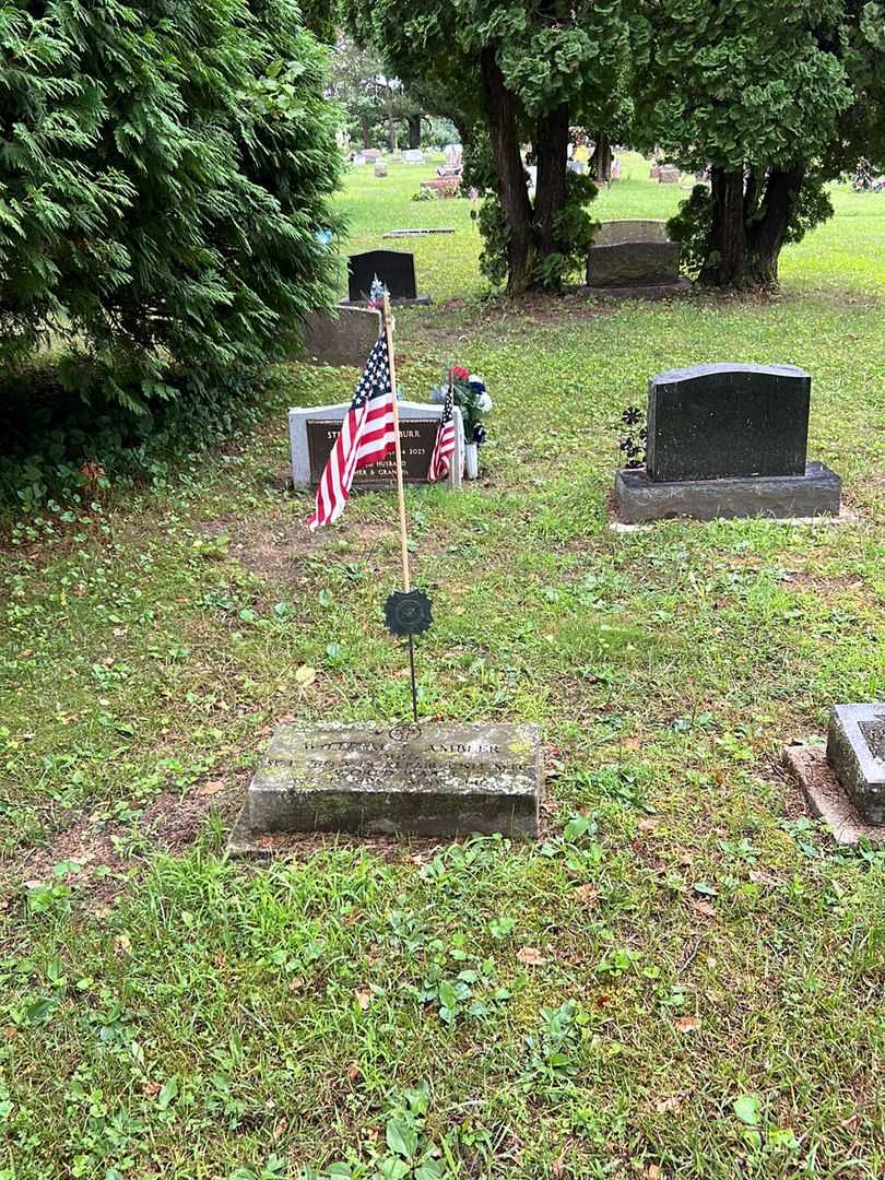 William T. Ambler's grave. Photo 2