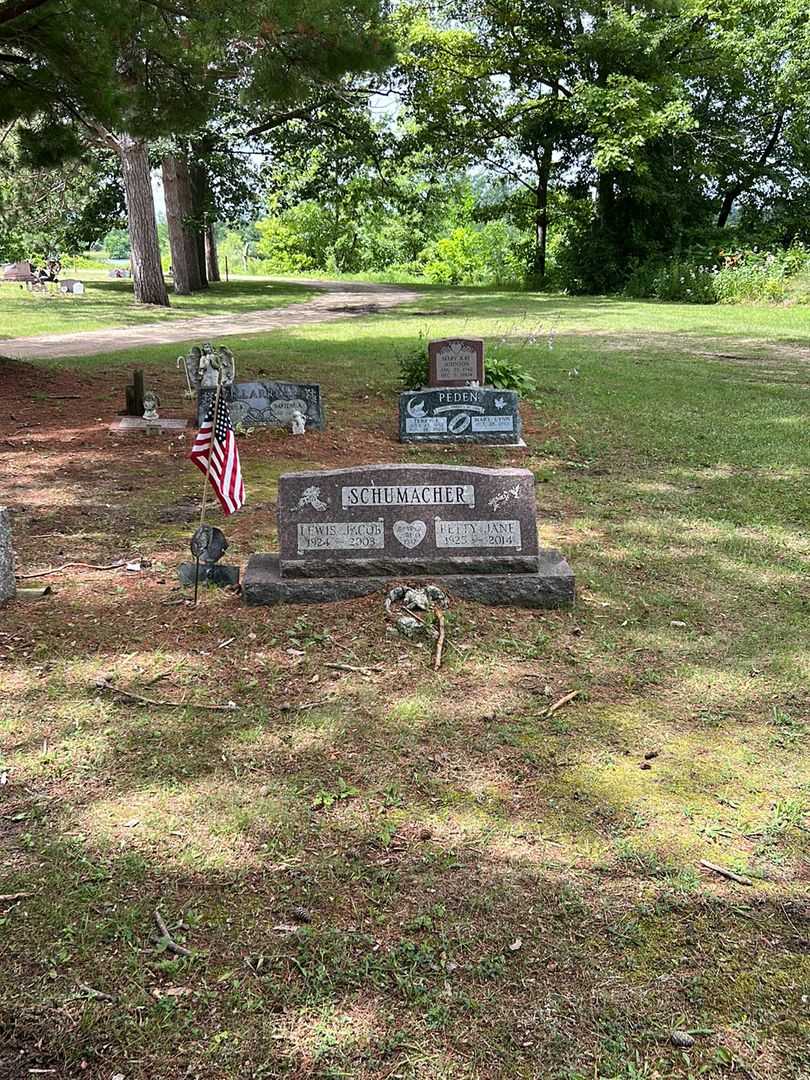 Lewis Jacob Schumacher's grave. Photo 2
