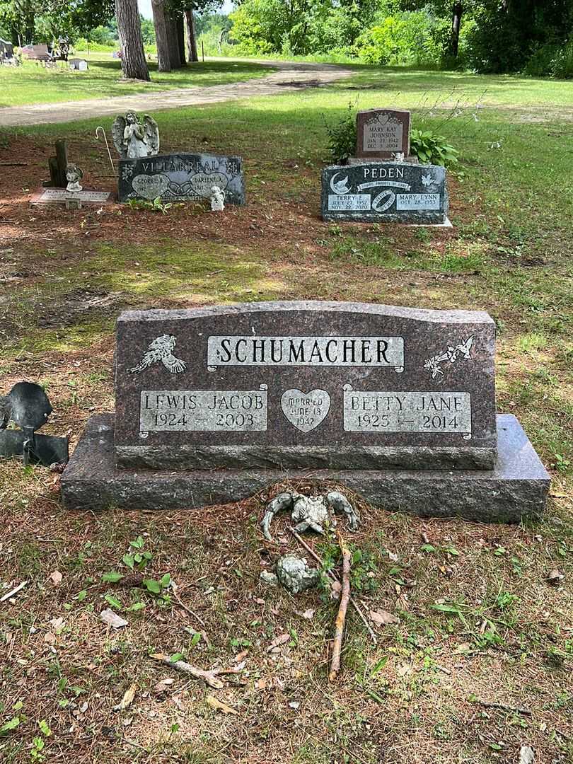 Lewis Jacob Schumacher's grave. Photo 1