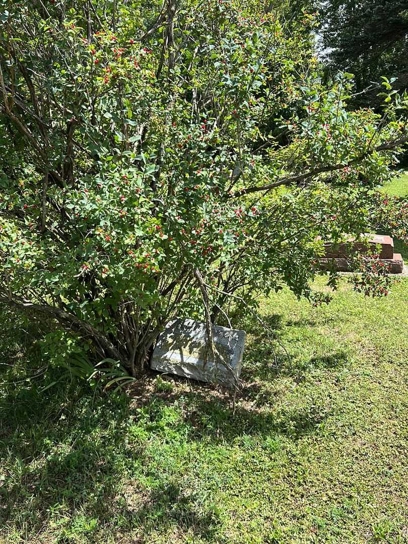 Louis Wagner's grave. Photo 2