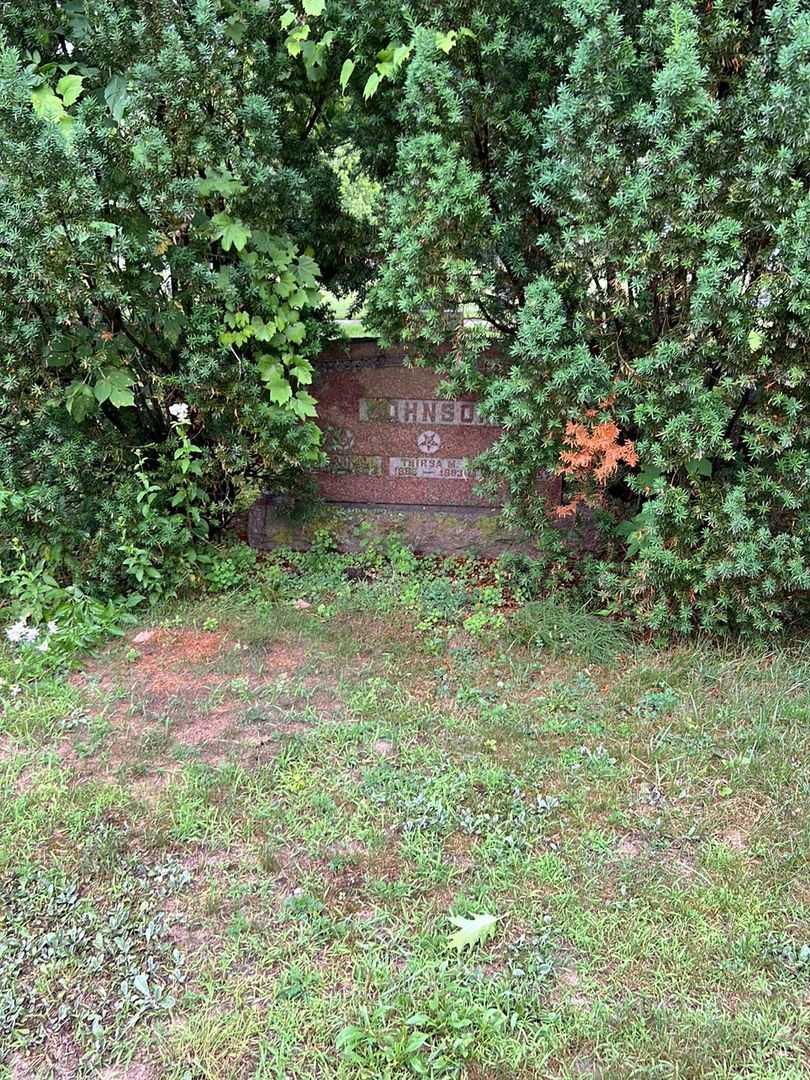 Frank C. Johnson's grave. Photo 2