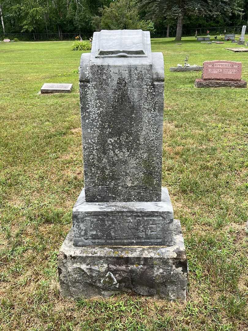 Willis A. Lane's grave. Photo 1