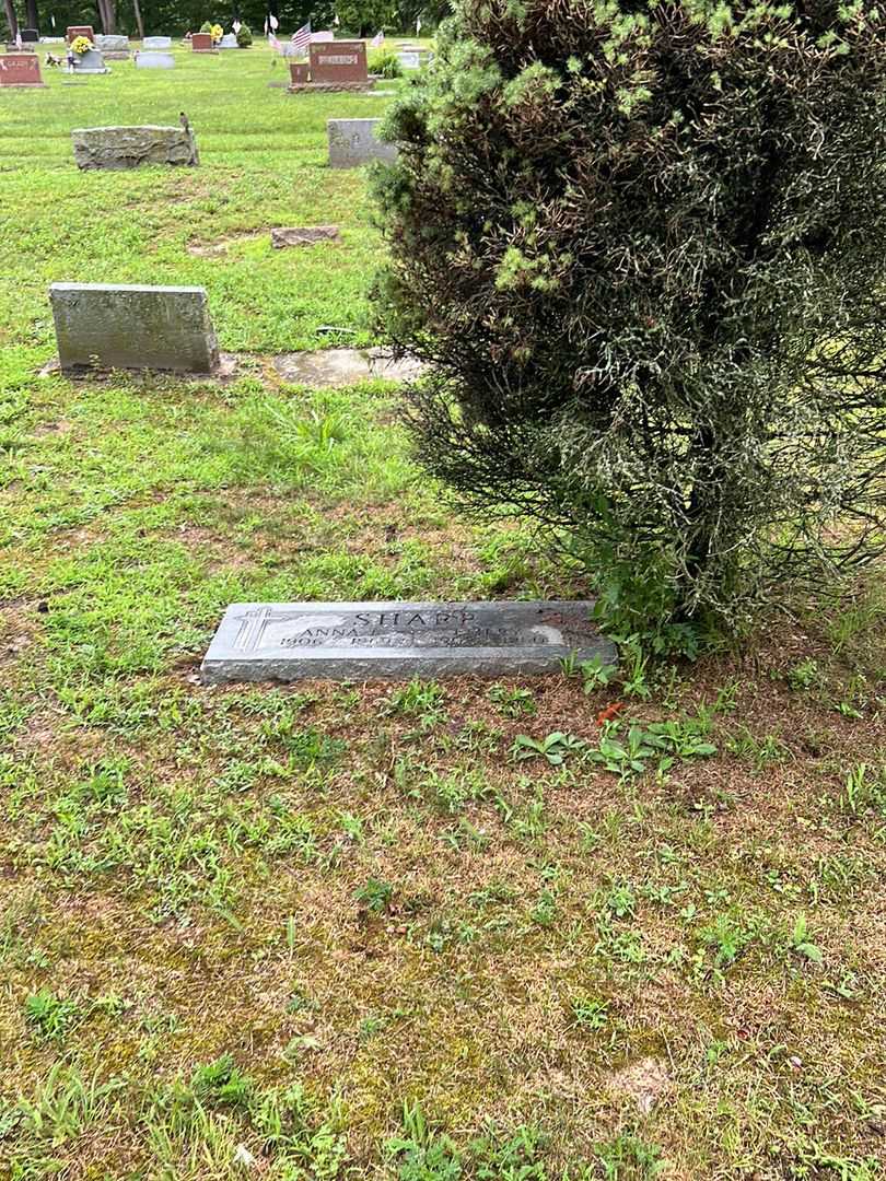 Anna I. Sharp's grave. Photo 2