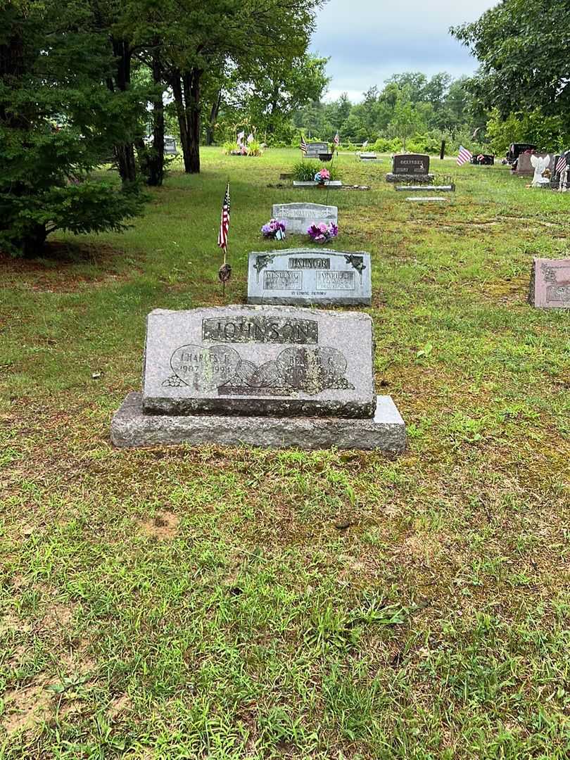 Charles H. Johnson's grave. Photo 2