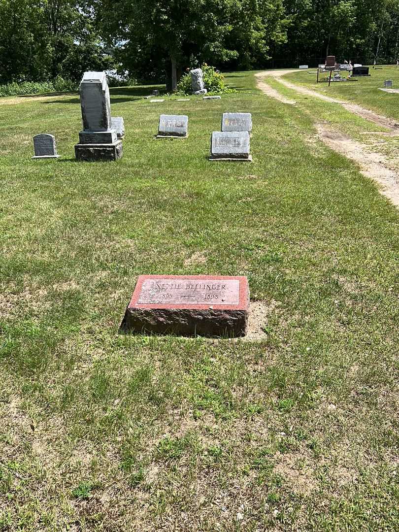Nettie Bellinger's grave. Photo 2