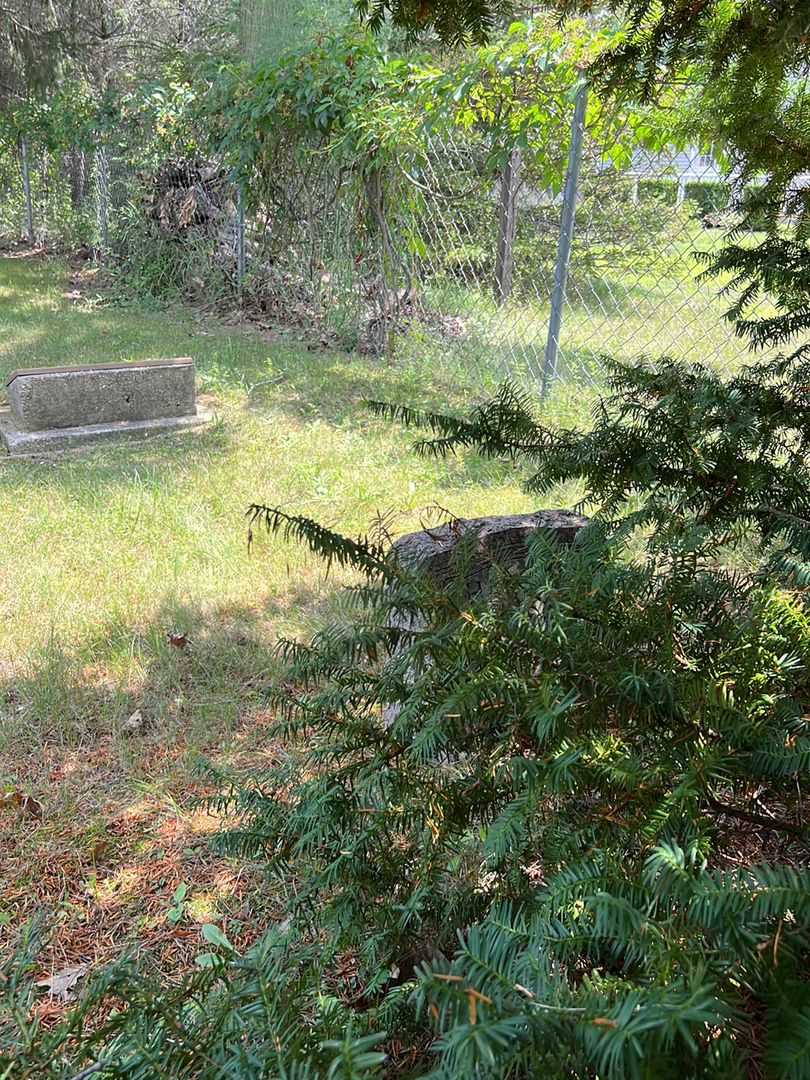 Harriet Gibson's grave. Photo 2