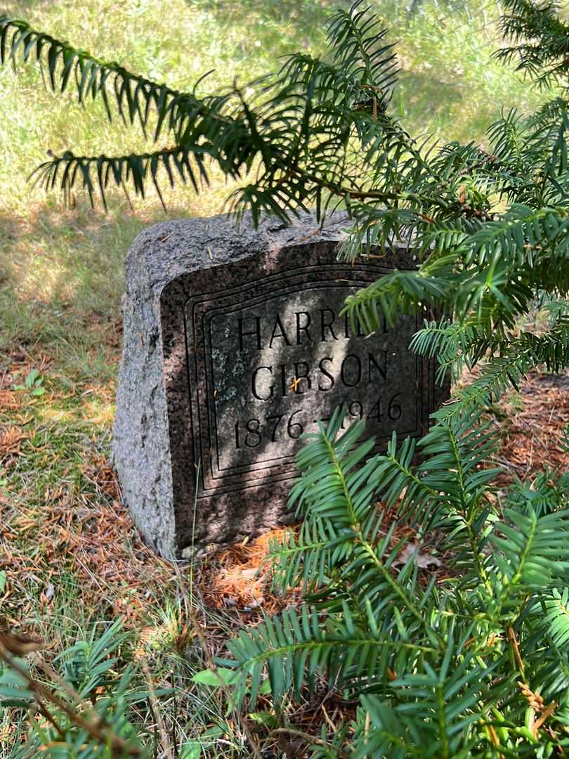 Harriet Gibson's grave. Photo 1