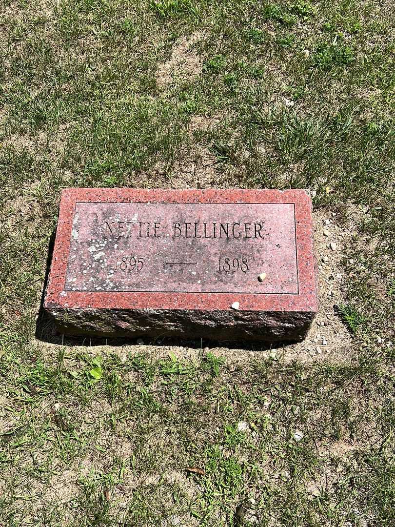 Nettie Bellinger's grave. Photo 1