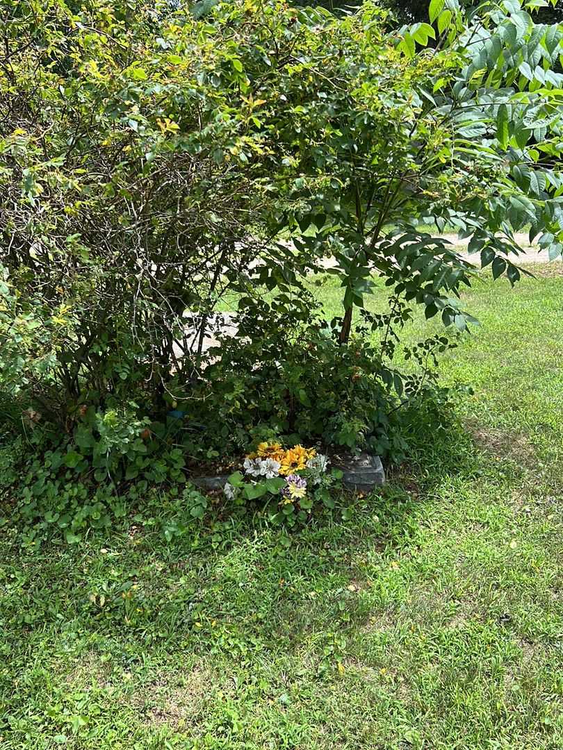 Albertia May Dangler's grave. Photo 2