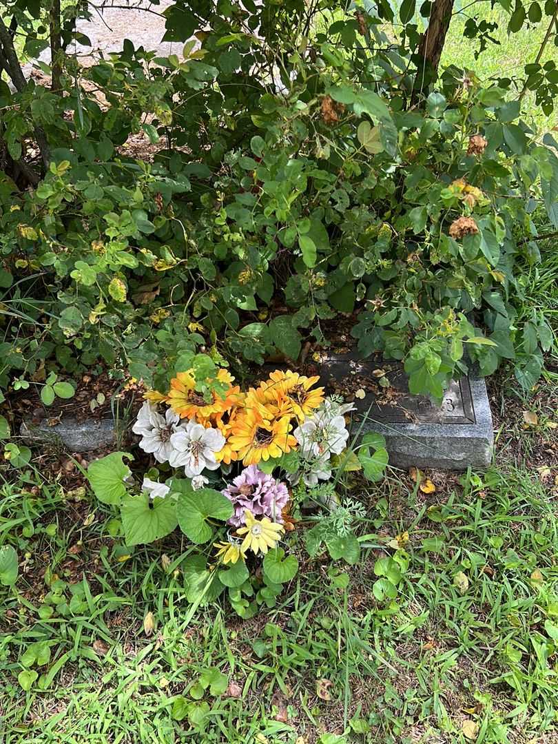 Albertia May Dangler's grave. Photo 1