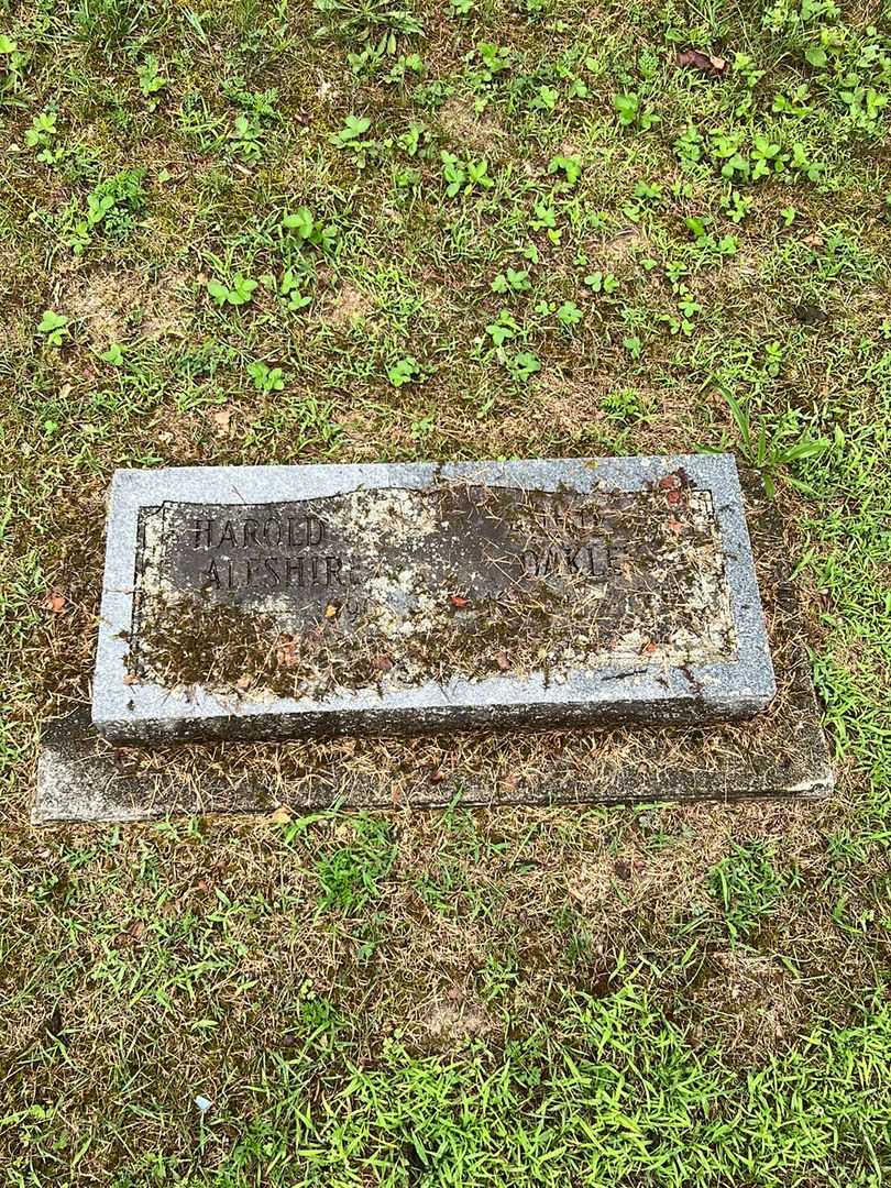 Harold Aleshire's grave. Photo 1