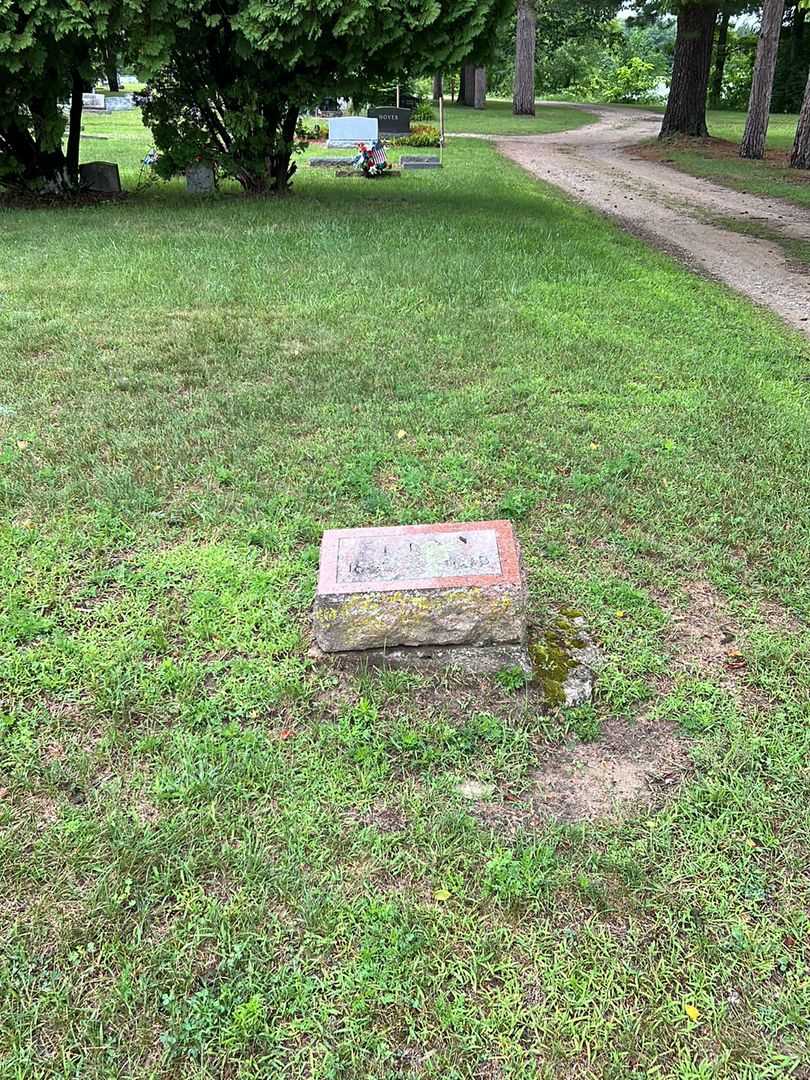 L. Roy York's grave. Photo 2