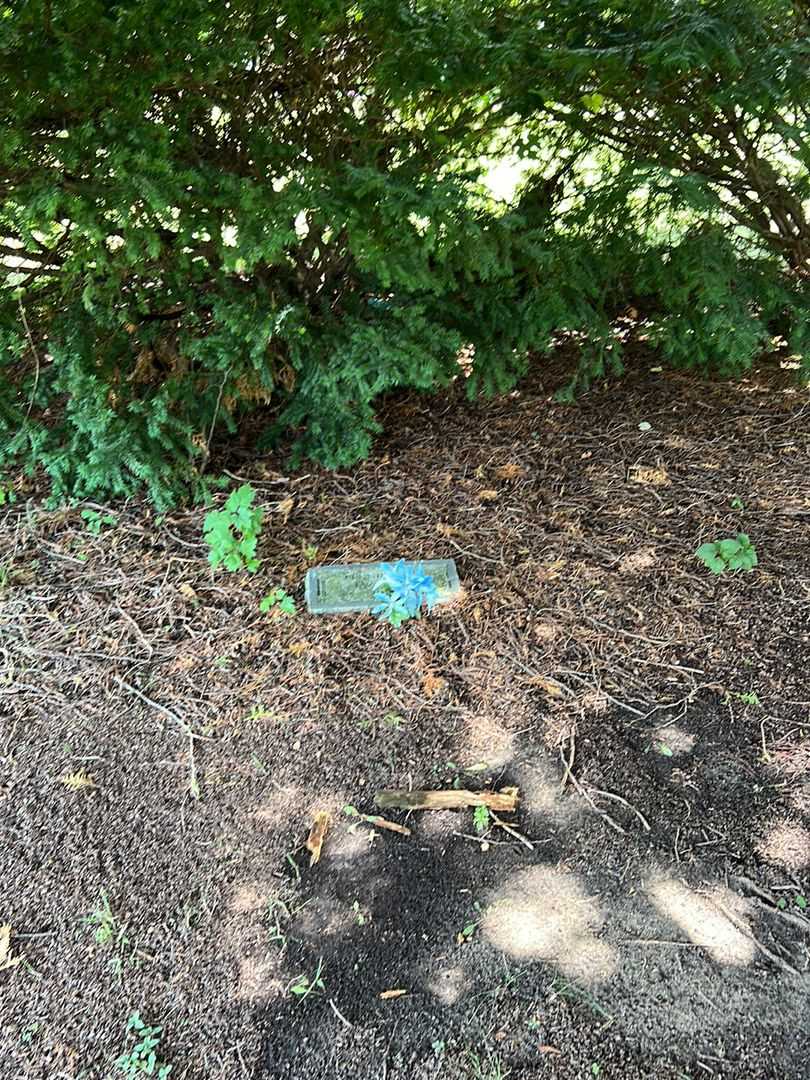 Pennington Evans Junior's grave. Photo 2