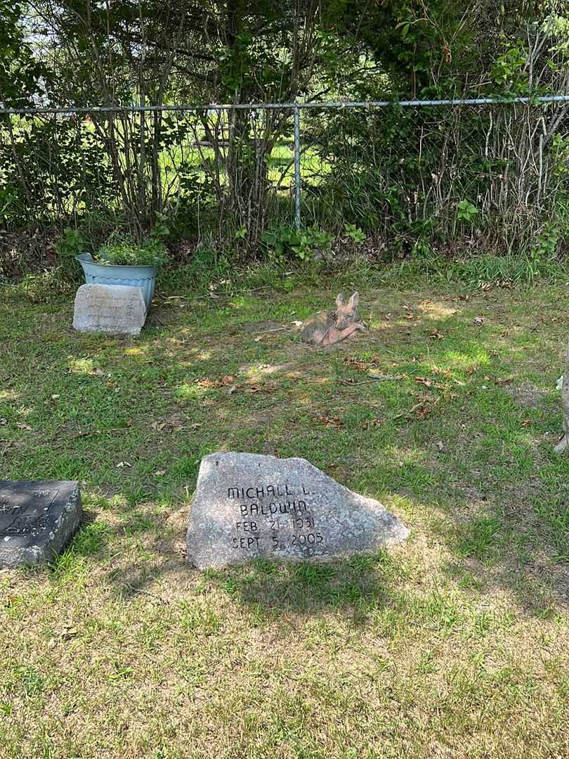 Michall L. Baldwin's grave. Photo 2