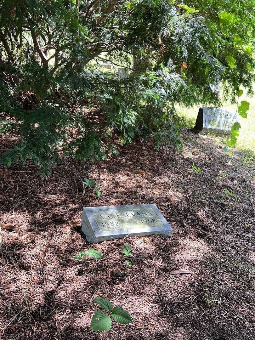 A. C. P. Evans's grave. Photo 2