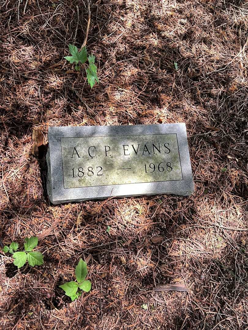 A. C. P. Evans's grave. Photo 1