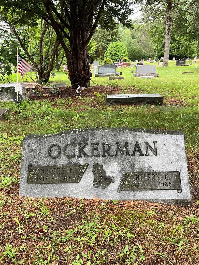 Nelson C. Ockerman's grave. Photo 1