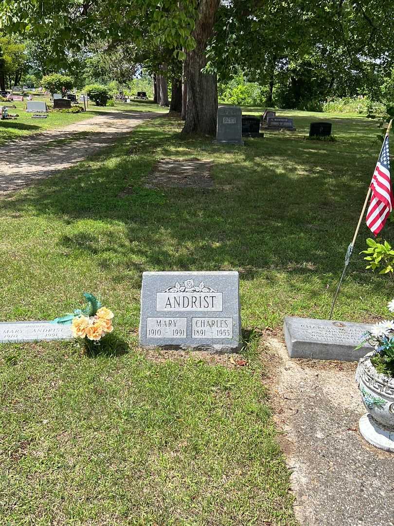 Charles M. Andrist's grave. Photo 2