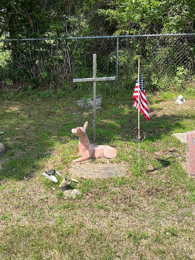 McDonald S. Baldwin's grave. Photo 2