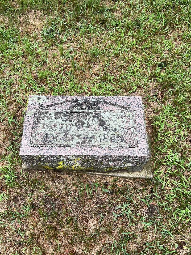 Geo. Davis's grave. Photo 1