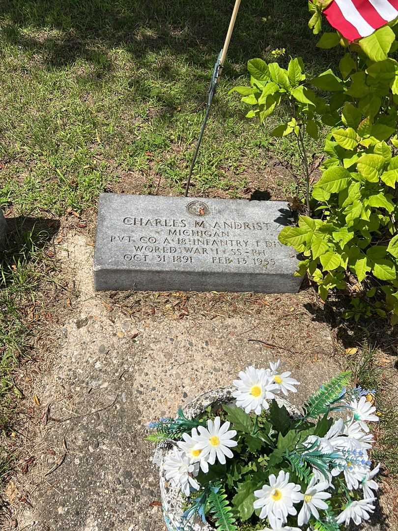 Charles M. Andrist's grave. Photo 3