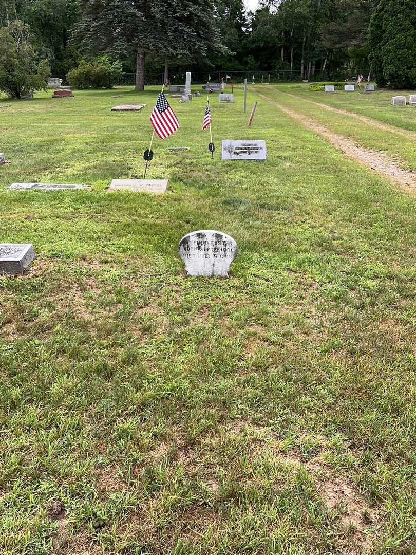Stepheny Foster's grave. Photo 2