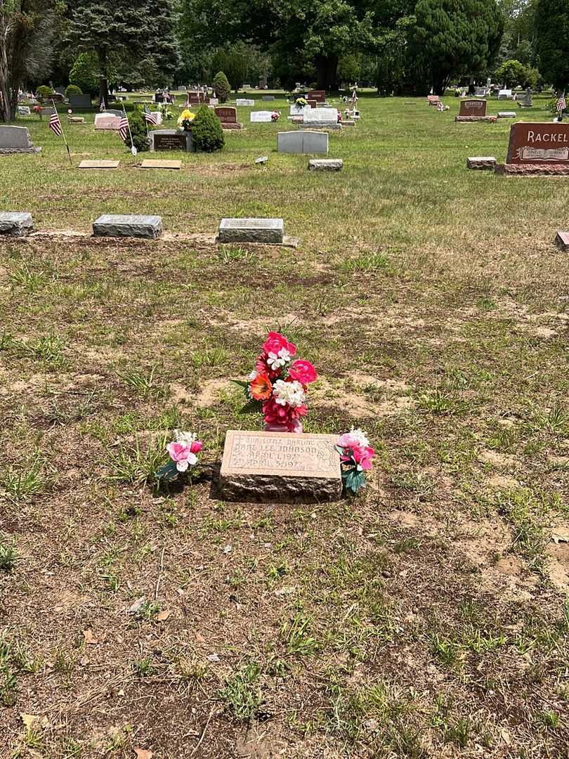 Danl Lee Johnson's grave. Photo 2