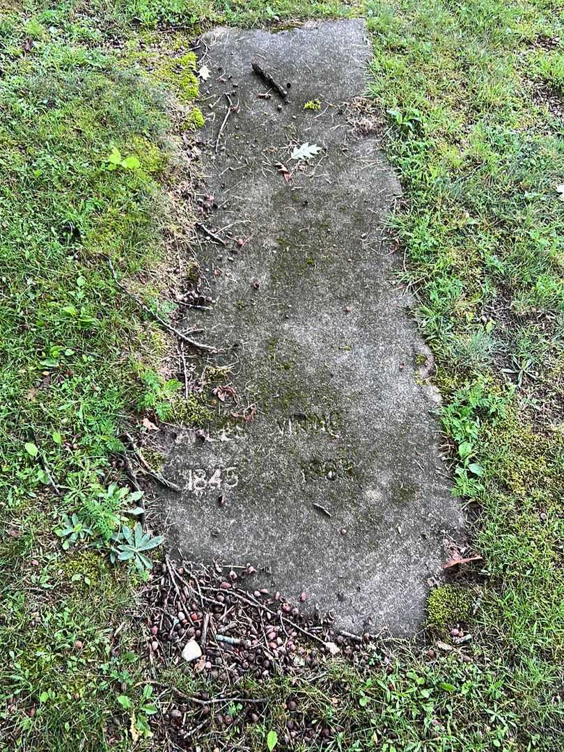 Charles Vining's grave. Photo 1