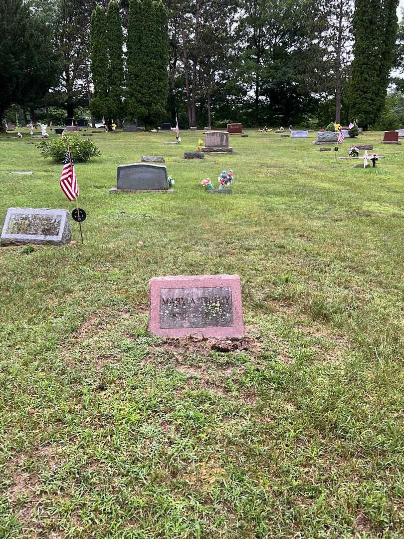 Mary A. Tuohy's grave. Photo 2