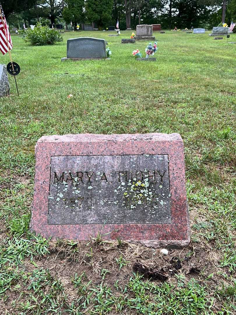 Mary A. Tuohy's grave. Photo 1