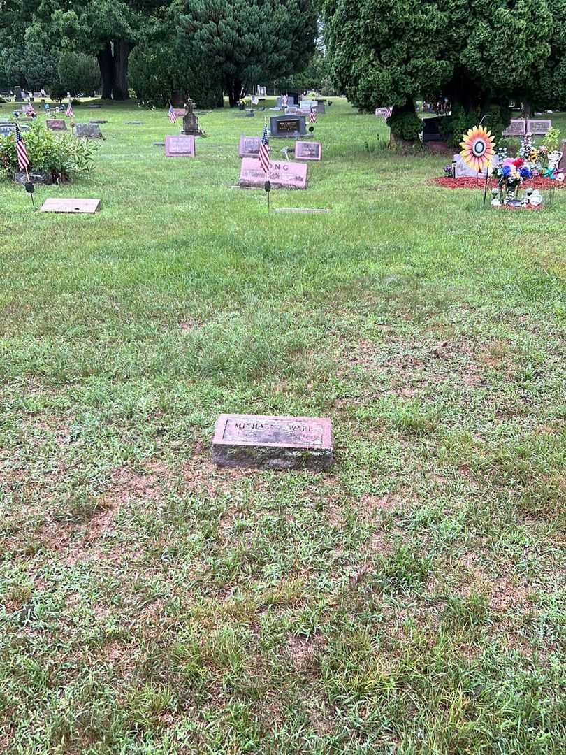 Michael A. Ware's grave. Photo 2