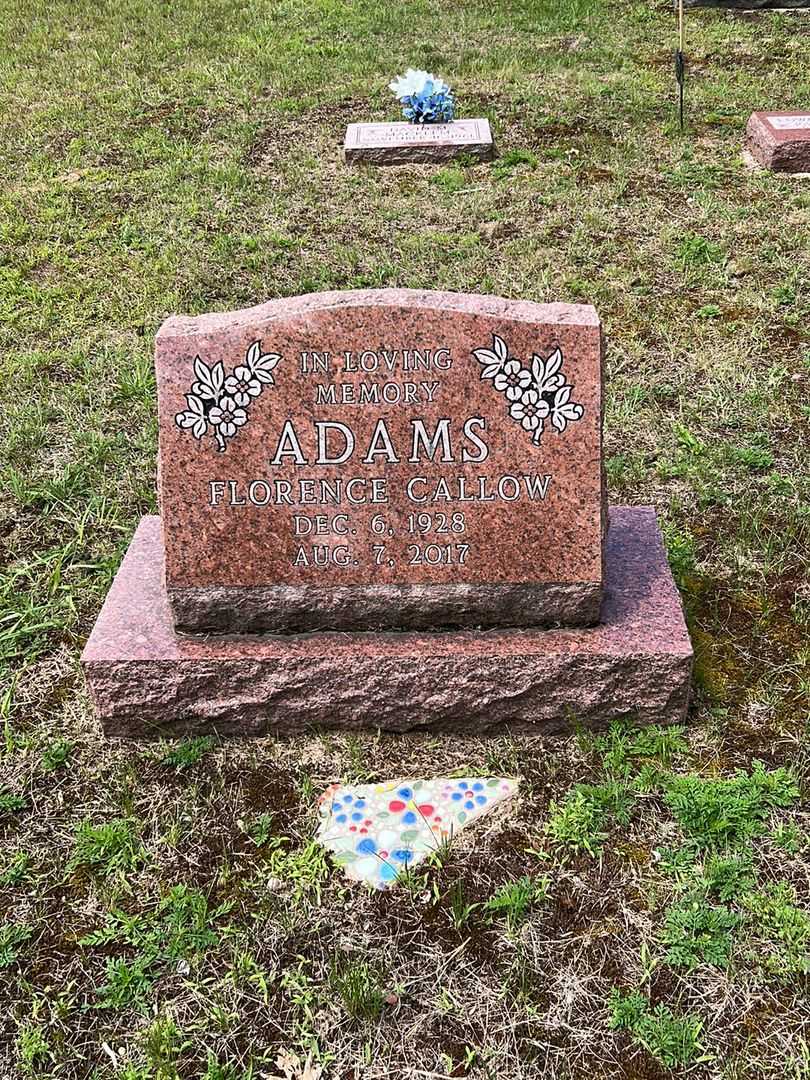 Edwin Adams's grave. Photo 1