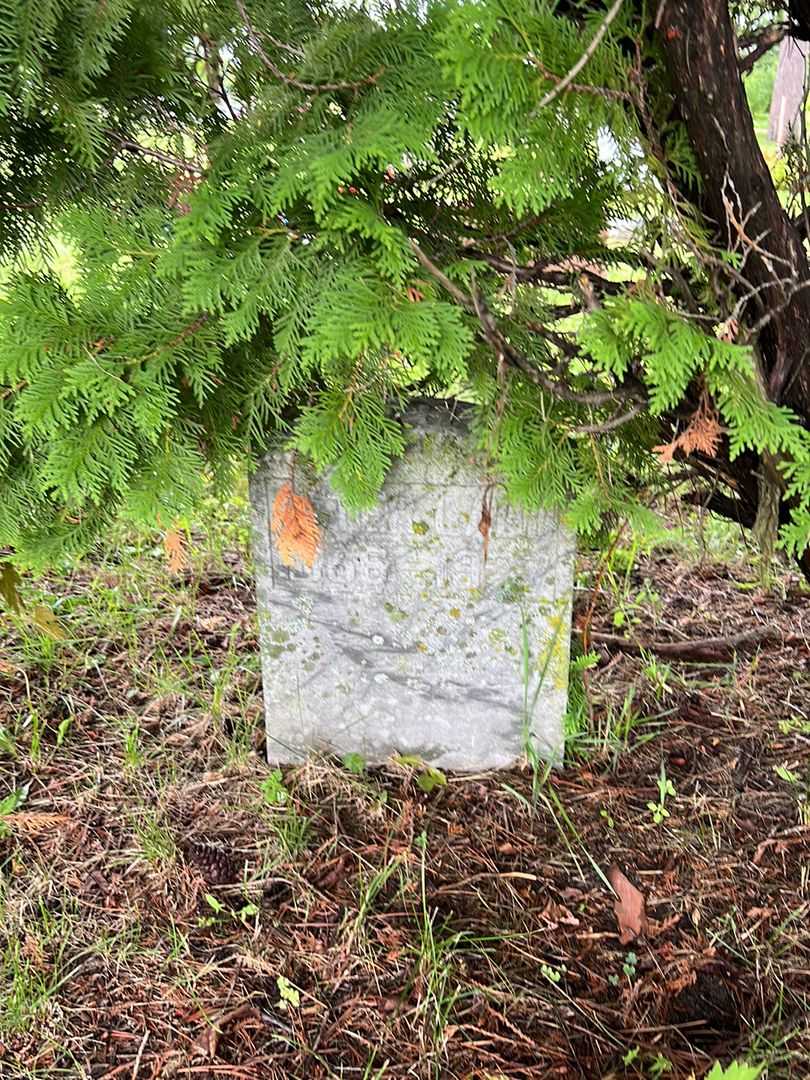 Peter Ladd's grave. Photo 1
